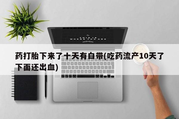 流产药如何购买药打胎下来了十天有白带(吃药流产10天了下面还出血)
