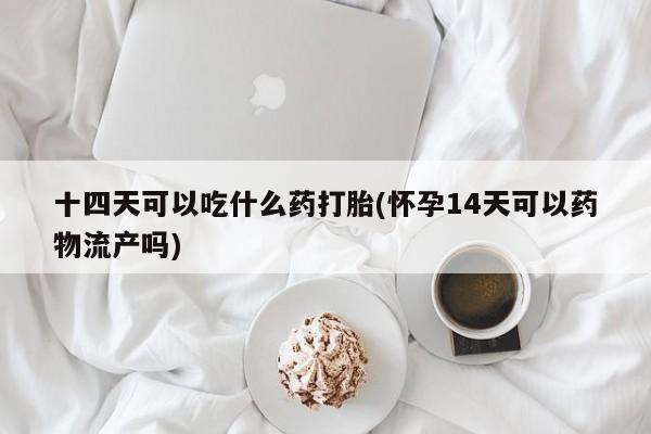 流产药如何购买十四天可以吃什么药打胎(怀孕14天可以药物流产吗)